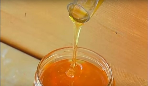 Ноу-хау: Українці навчилися видобувати мед із закритих вуликів (відео) 