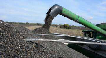 Экспорт подсолнечника