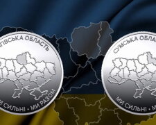 Памятные монеты НБУ, посвященные Сумской и Черниговской областям