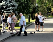 Налоговая социальная льгота 2026: деньги в руках