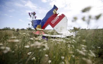 Катастрофа МН17: Нідерланди прийняли доленосне рішення
