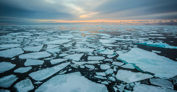 Королева айсберга: бабушку едва не поглотило ледяное море, все ради одного фото