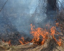 Сотні сімей залишилися без газу на Закарпатті через пожежу