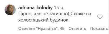 Комментарии под публикацией Ани Тринчер. Фото скрин с Instagram