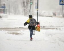 Школяр, фото з вільних джерел