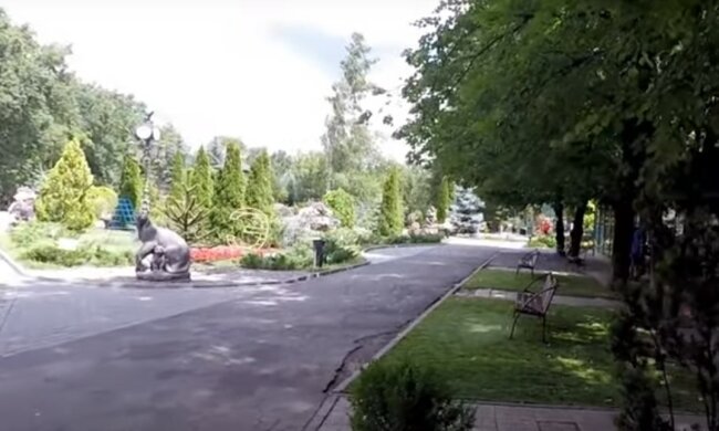 парк, скріншот з відео