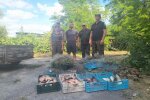 Понад 2 км сітки: Держекоінспекція спільно з поліцією викрили масштабну браконьєрську діяльність