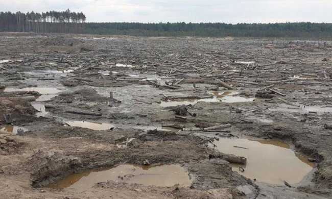 Автомайдан показав наслідки незаконного видобутку бурштину (фото)