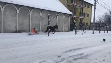 В Бродах лошадью на санях отгребают снег. Фото: скриншот.