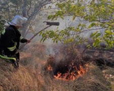 Масштабные лесные пожары сковали Херсонщину: видео