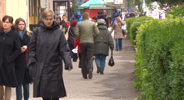 Весеннее похолодание. Фото: скрин youtube