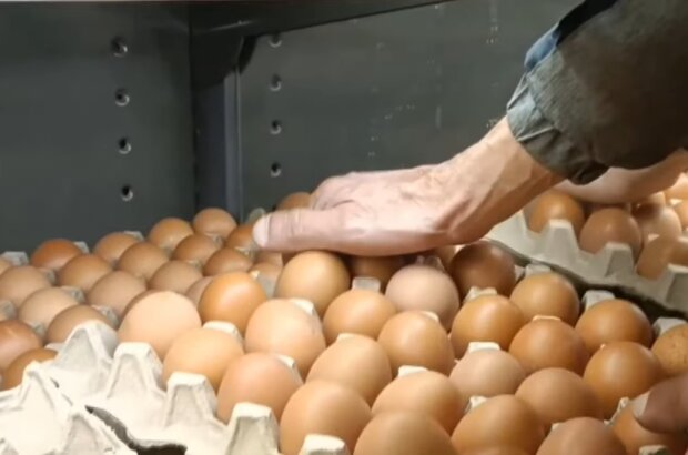 Цены на яйца, скриншот с видео