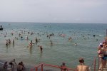 В Одессе внезапно почернело море, даже рыбы "пакуют чемоданы": кадры ужаса