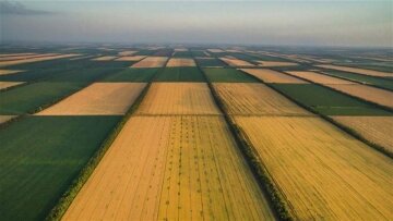 Сільськогосподарська земля на Черкащині