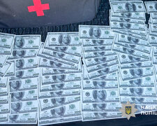 хабар у доларах за інвалідність