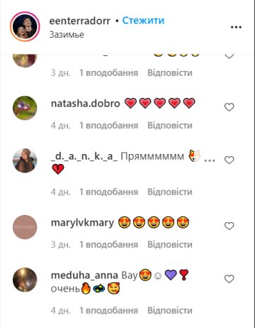 Коментарі, instagram.com/eenterradorr