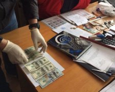 У Луценко похвастались продуктивной работой на выходных
