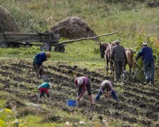 У Верховну Раду внесли скандальний законопроект про ринок землі: що зміниться для простих українців