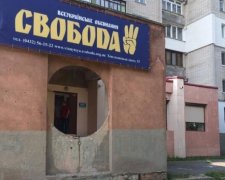 Офіс "Свободи" обстріляли у Вінниці