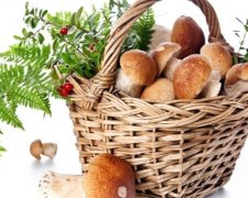 Чому варто частіше їсти гриби