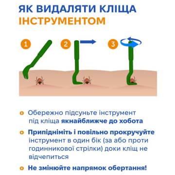 Как удалить клеща. Фото: Центр общественного здоровья