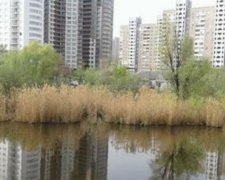 Застройщику от Кличко разрешили уничтожить озеро Утиное 