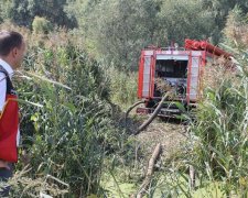 Столичные пожарники тушат пять гектаров торфяников под Киевом (фото)