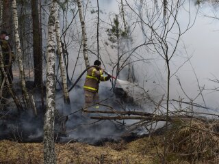 Пожежа на Київщині, фото з вільних джерел