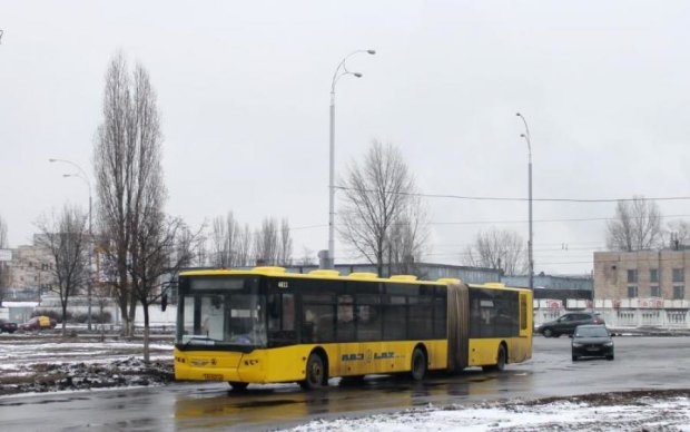 Полторы сотни автобусов "потерялись" во Львове
