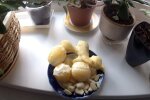 Імбир і часник, скріншот: Youtube