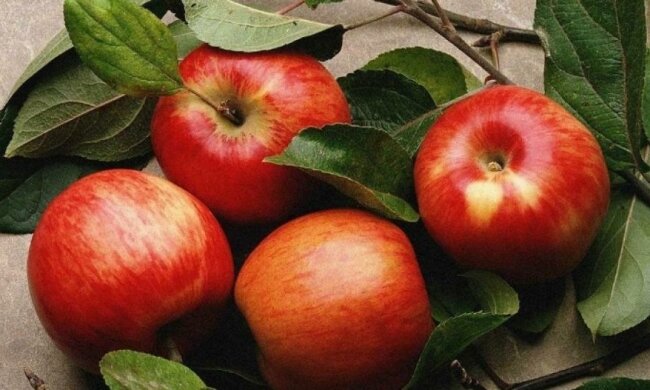 Яблочная кожура избавит от лишних килограммов