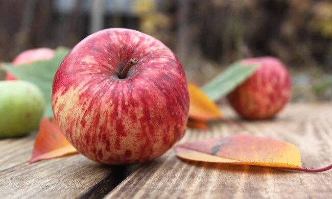 Яблука, фото pixabay