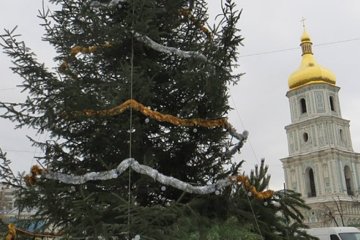 У столиці встановили першу ялинку (фото)