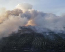 Киев в дыму: в столице вспыхнул крупный пожар