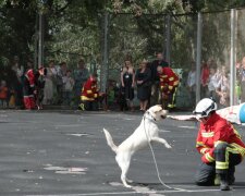 Під Дніпром з колодязя дістали закляклого малюка, рахунок йшов на хвилини: відео другого народження