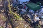Позиції ворогів. Фото: кадр з відео