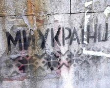 В «ЛНР» не могут побороть украинский патриотизм (фото) 