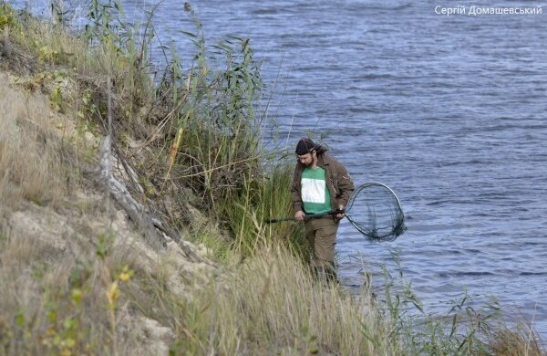 Фото: Sergey Domashevsky