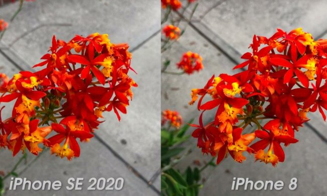 iPhone SE,