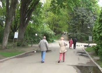 Весняна погода. Фото: скрін youtube