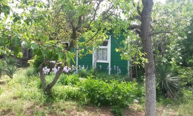 Оккупанты придумали, как "подстегнуть" севастопольцев к переселению