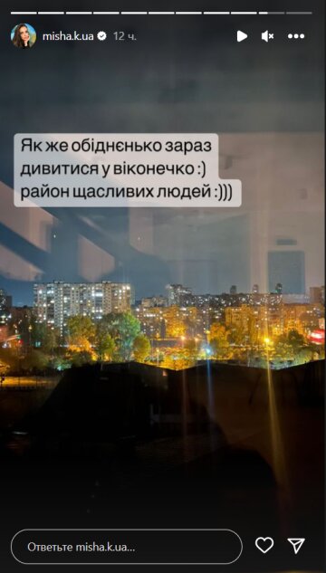 Stories Ксении Мишиной, скриншот: Instagram