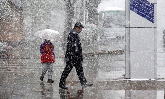 Погода на 26 февраля: противная стихия как никогда насолит украинцам