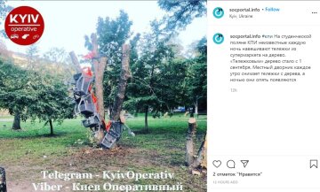 У Києві обвішують дерево візками, фото socportal.info