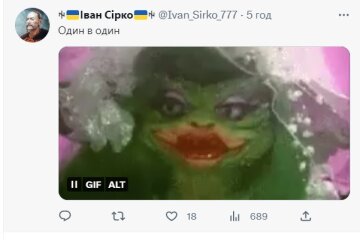 Неадекватная водитель. Фото: twitter