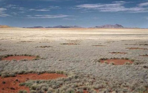 Ученые раскрыли тайну мистических кругов в пустыне: фото
