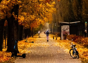 Українці, осінь, фото із соцмереж