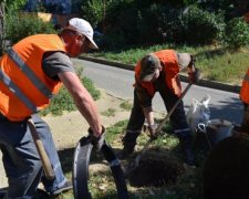 Днепряне ходили по убийственным "игрушкам", ничего не подозревая