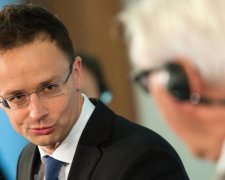 Киев такой брутальный: венгров волнуют меньшинства