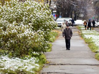 Погода в Виннице на 23 ноября, фото: Синоптик
